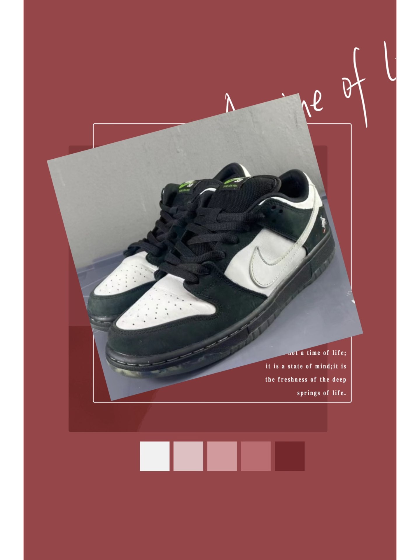 dunk sb 黑鸽子联名 周杰伦 白敬亭同款