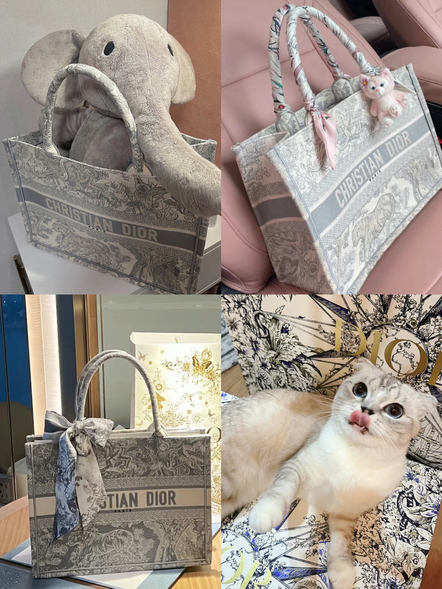 dior 动物园tote