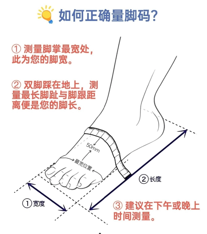 跖围怎么测量示意图图片