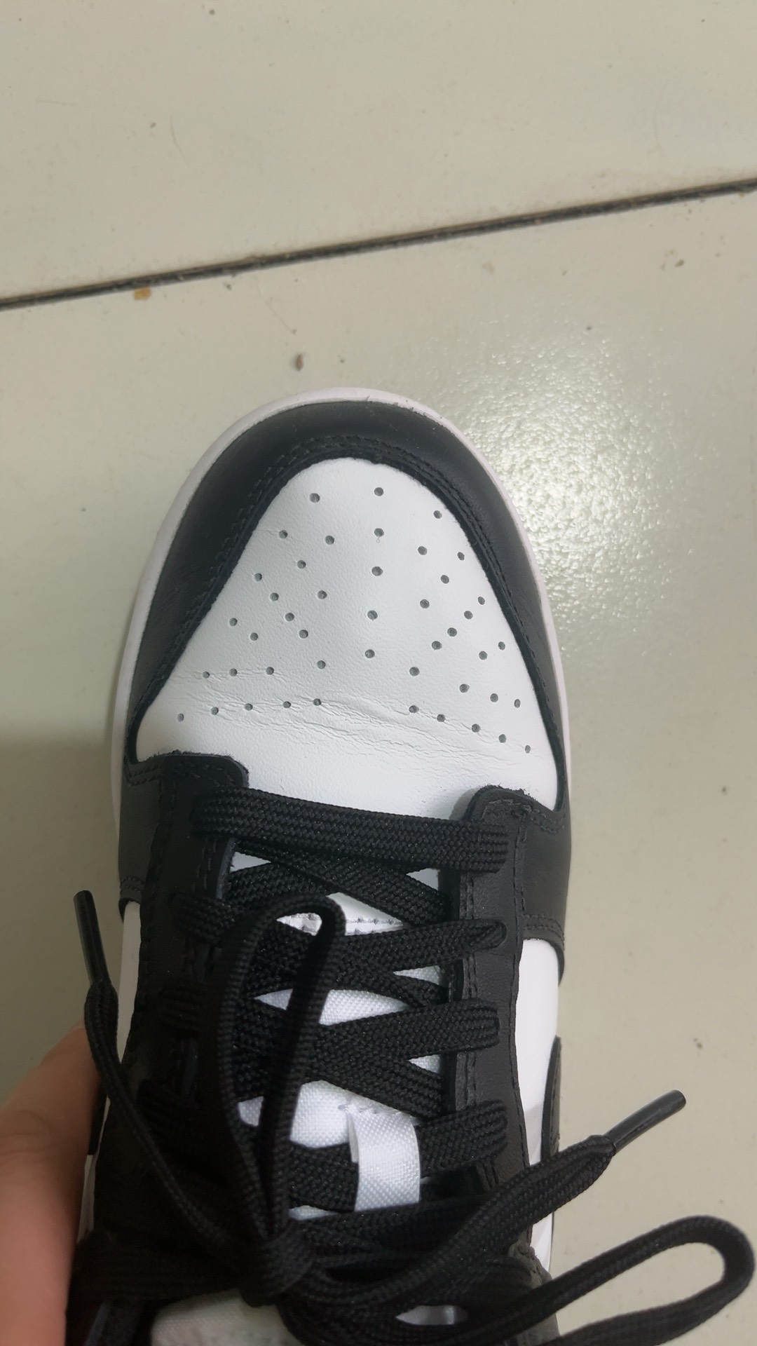 custom review-Nike Dunk Low Retro White Black Panda Women's