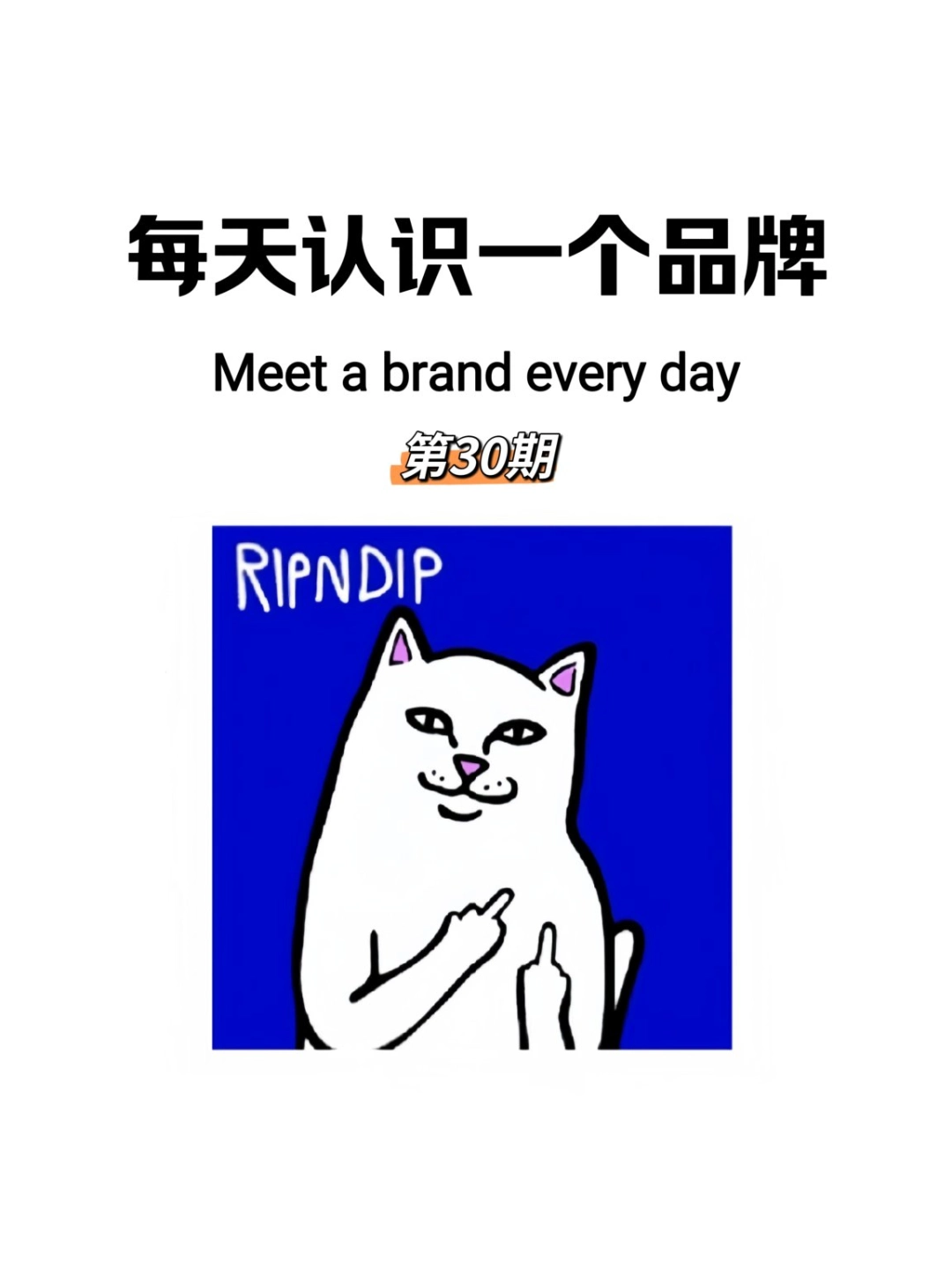 ripndip 国家图片