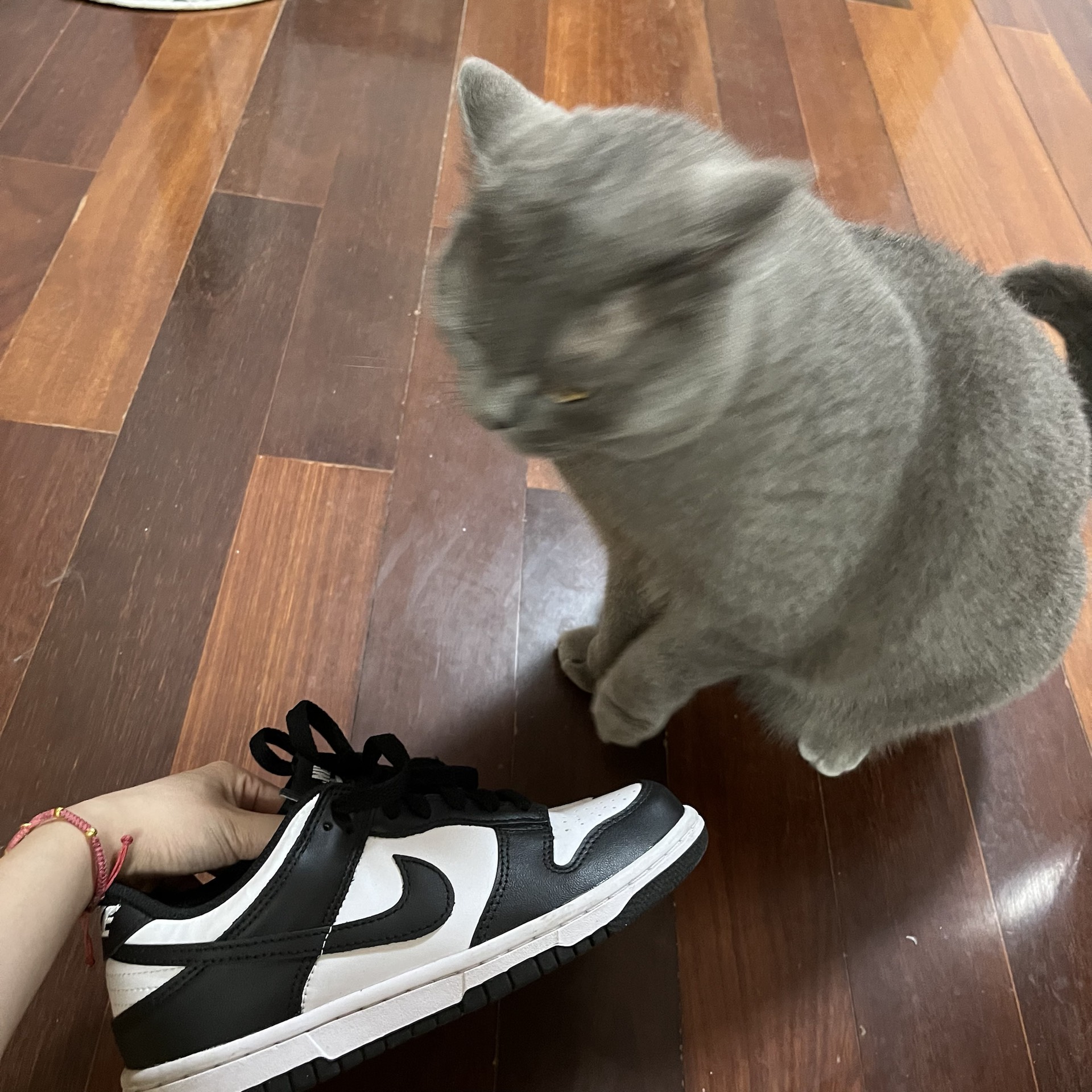 custom review-Nike Dunk Low Retro White Black Panda GS