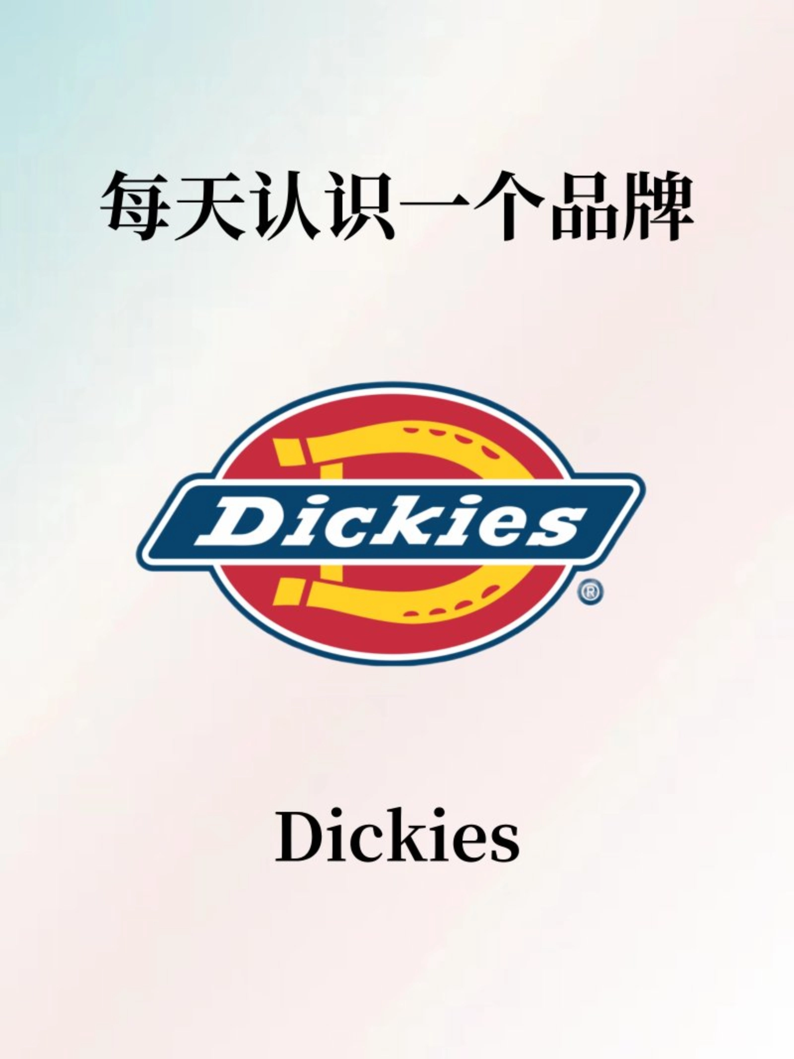 每天认识一个品牌|dickies