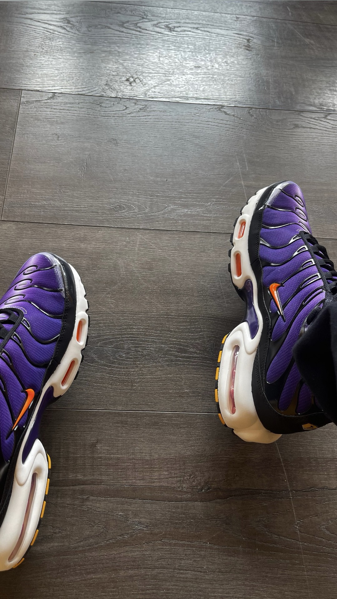 custom review-Nike Air Max Plus Low Top Повседневная обувь Мужская Фиолетовая Черная