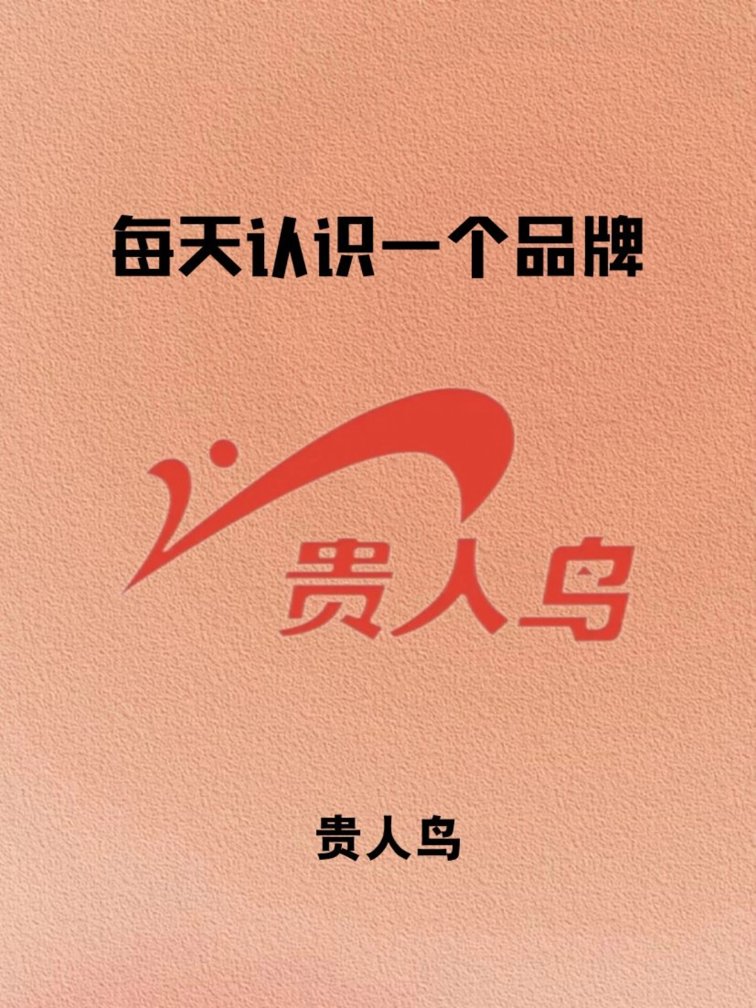 每天认识一个品牌︳贵人鸟