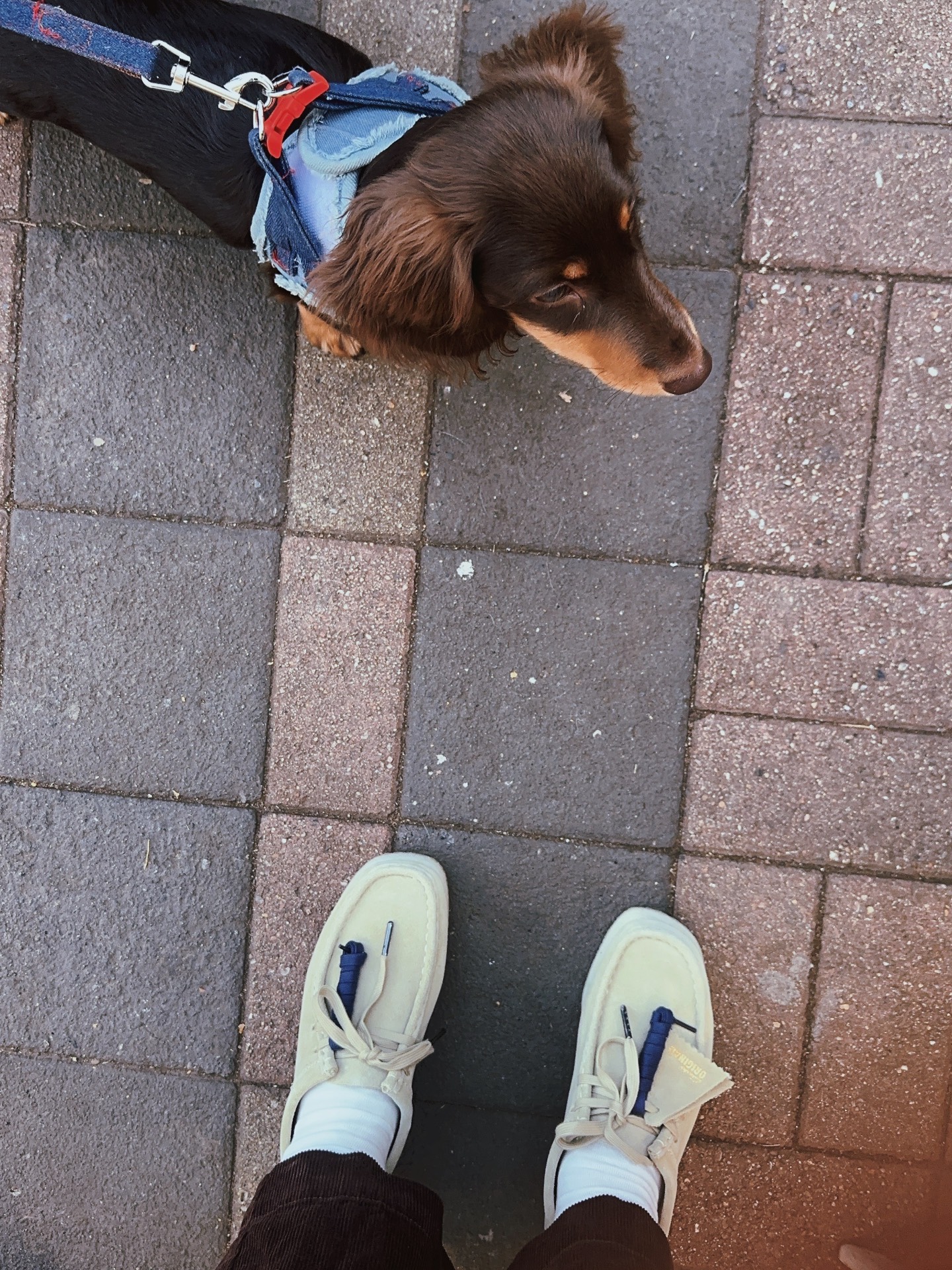 custom review-Clarks ORIGINALS Спилок Коровья Кожа Дышащая Низкий Верх Повседневная Обувь Женская Желтая