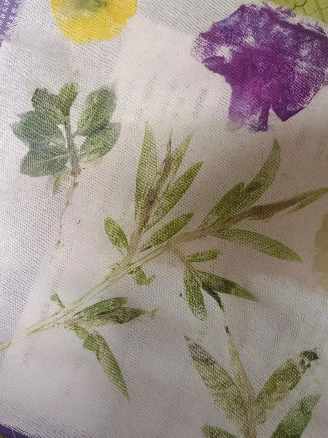 新捣春蓝浅染苍,清晨满面落花香