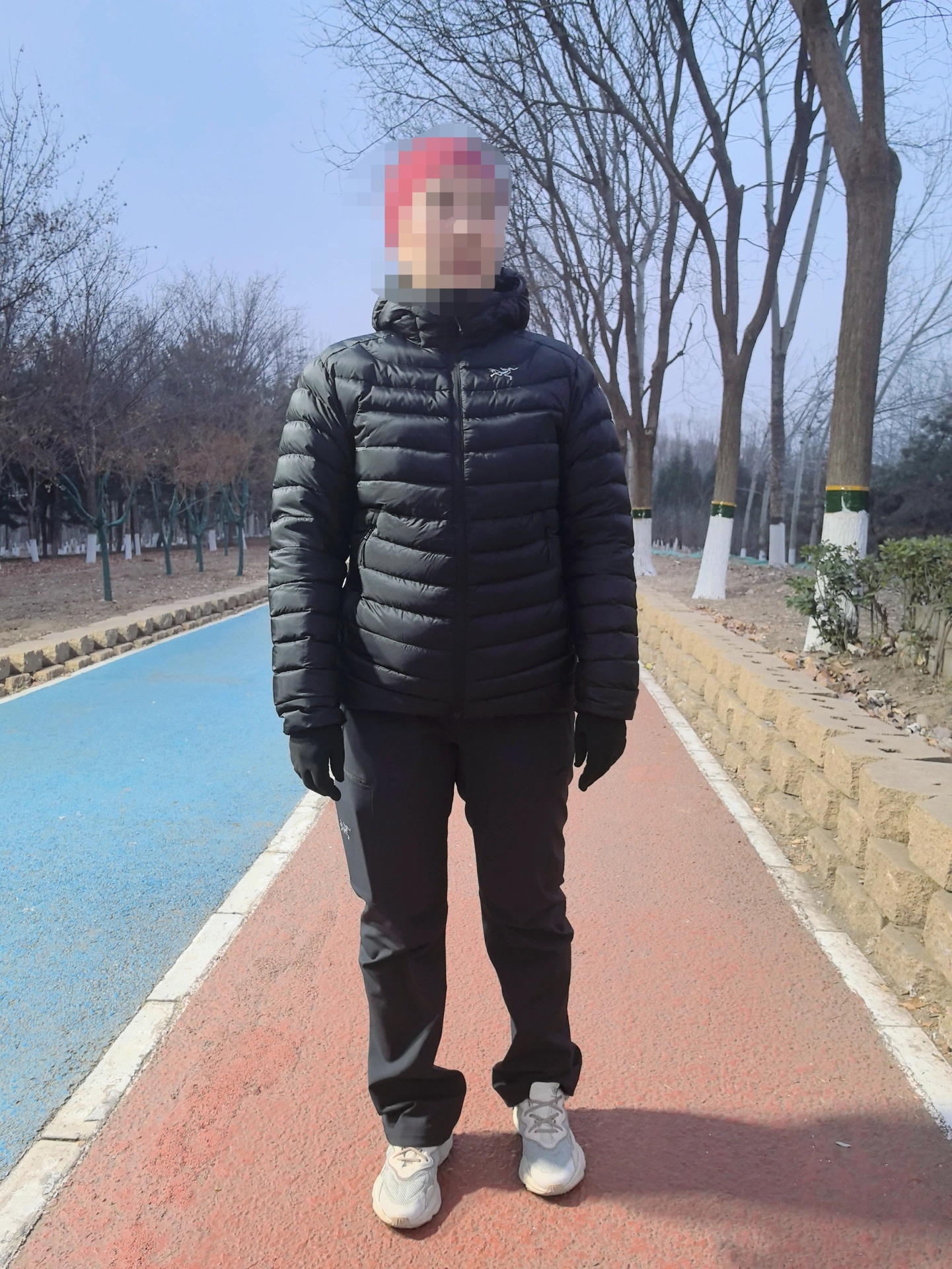 custom review-Arcteryx Cerium LT Пуховики и пальто Женские