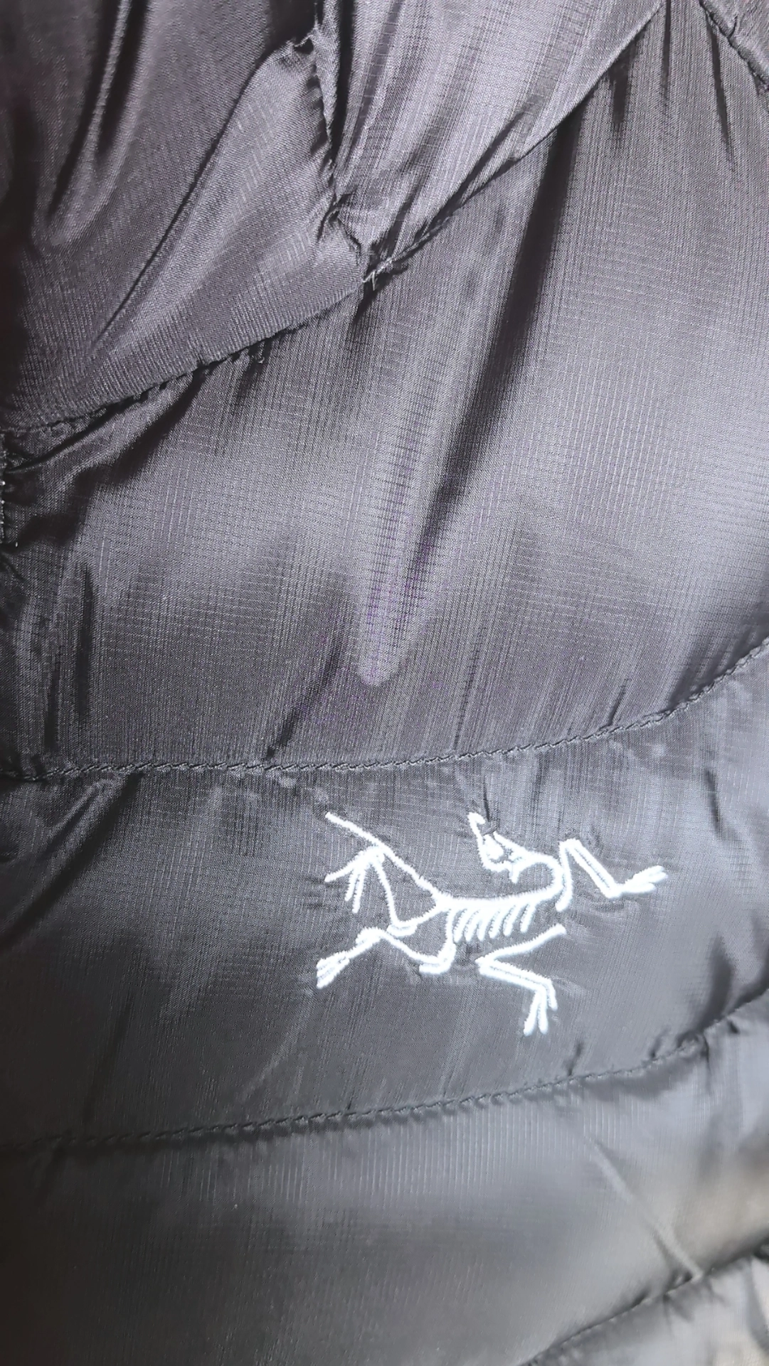custom review-Arcteryx Cerium LT Пуховики и пальто Женские