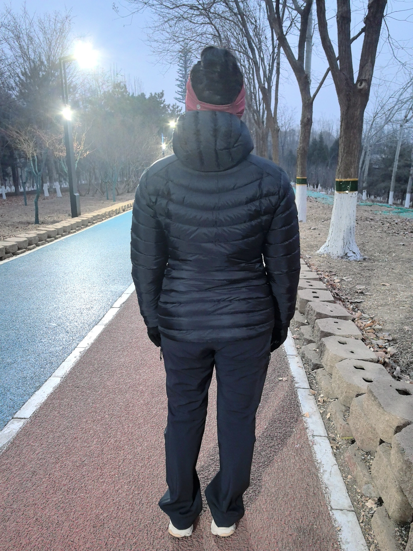 custom review-Arcteryx Cerium LT Пуховики и пальто Женские