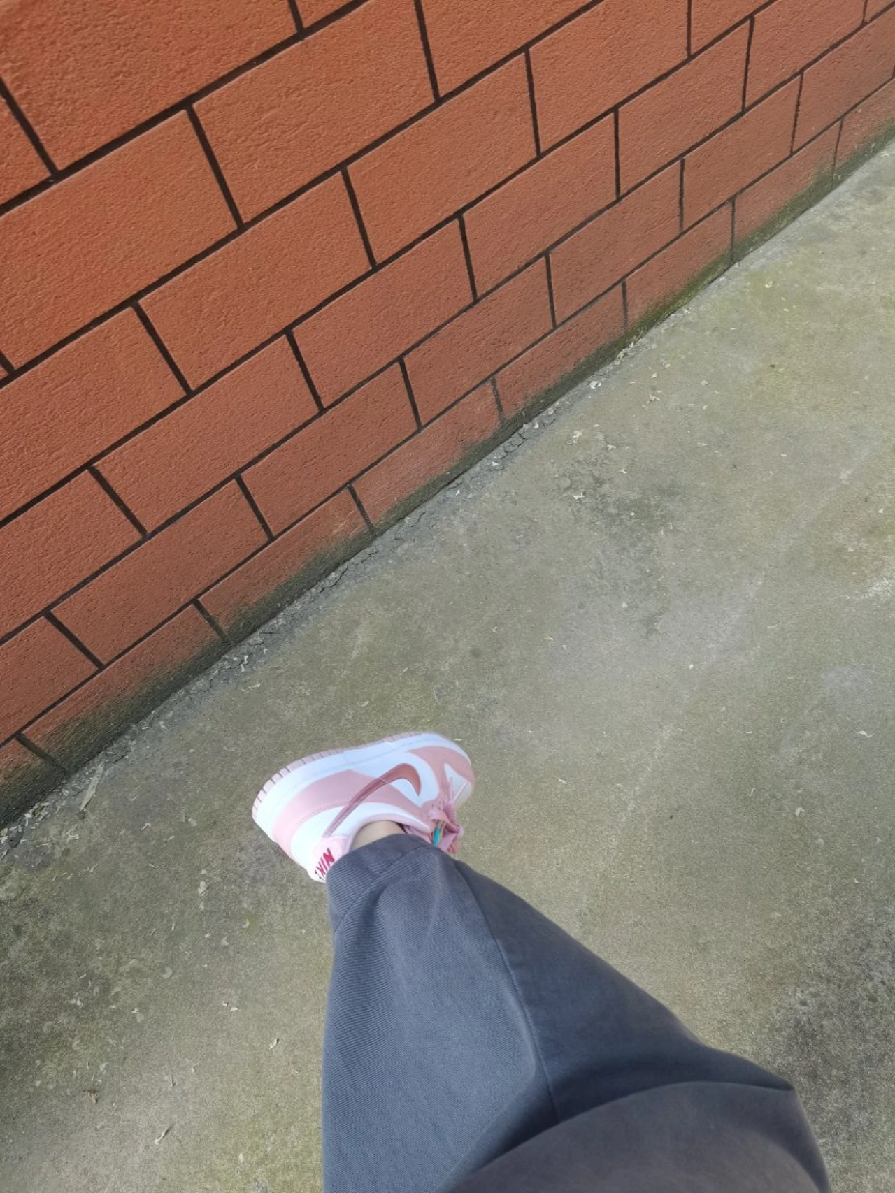 custom review-Nike Dunk Розовый Бархат Низкий Топ Детские Скейтбординги Розово-вишневый