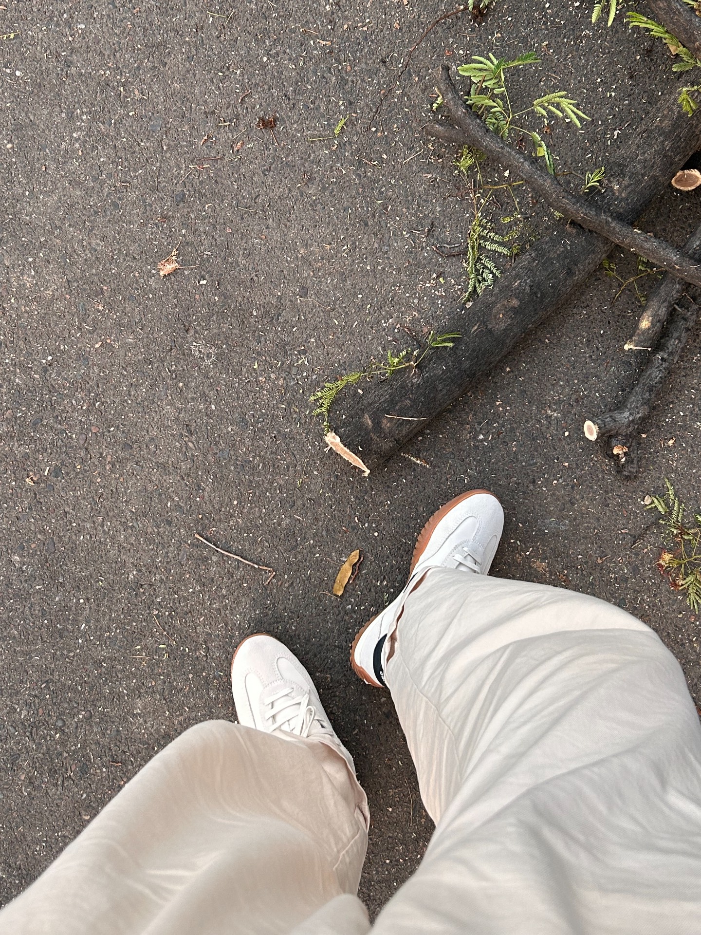 custom review-Конверс Run Star Trainer Износостойкий и Легкий Низкий Топ Повседневная Обувь Унисекс Бежевый