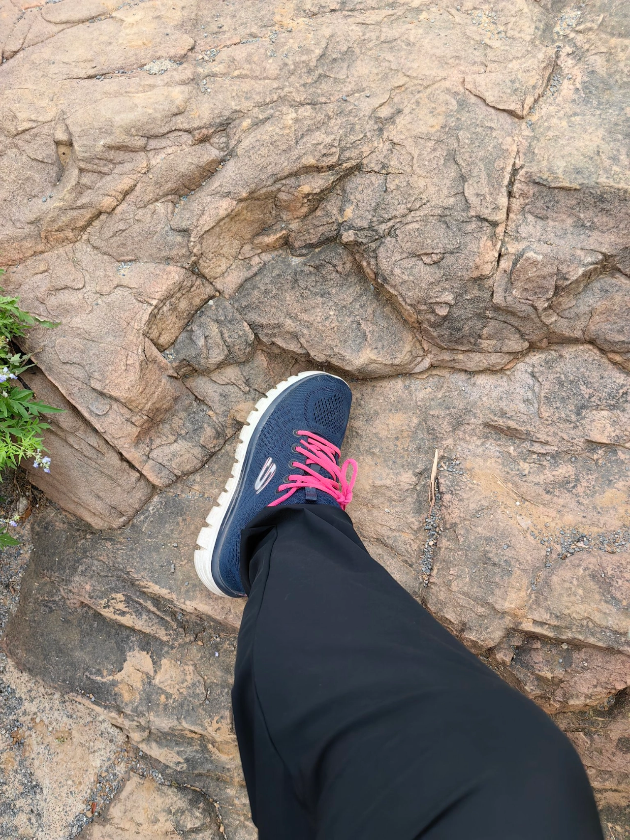 custom review-Skechers Graceful Сетчатая ткань искусственная кожа низкий верх тренировочная беговая обувь женская синий белый розовый