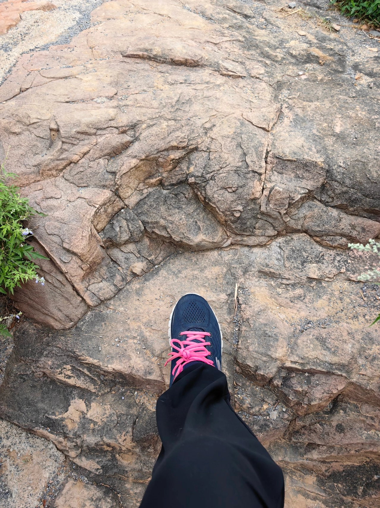 custom review-Skechers Graceful Сетчатая ткань искусственная кожа низкий верх тренировочная беговая обувь женская синий белый розовый