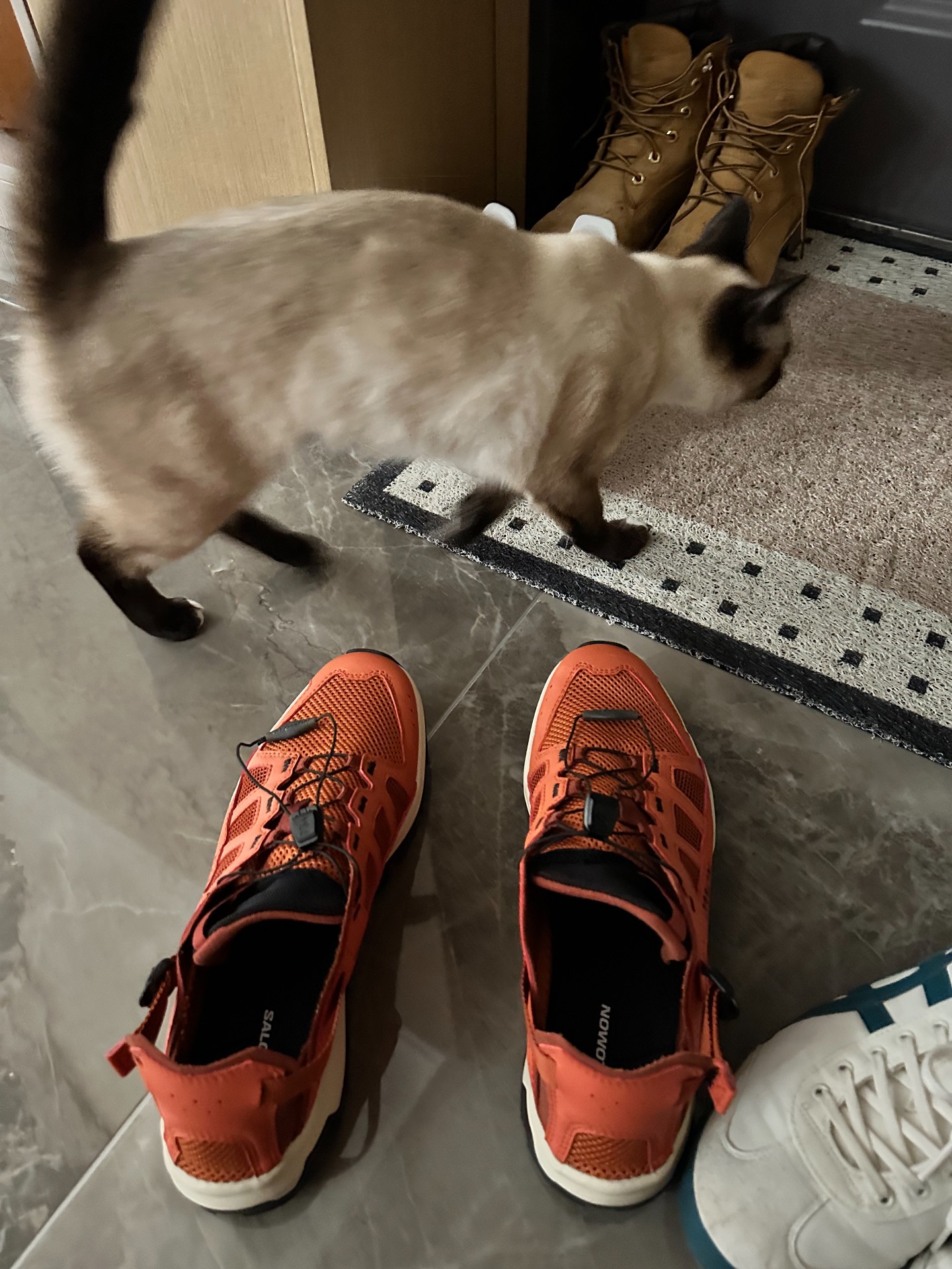 custom review-SALOMON Techamphibian 5 Дышащий Быстросохнущий Сцепление Обувь для горных походов Мужская Spice Красновато-коричневый