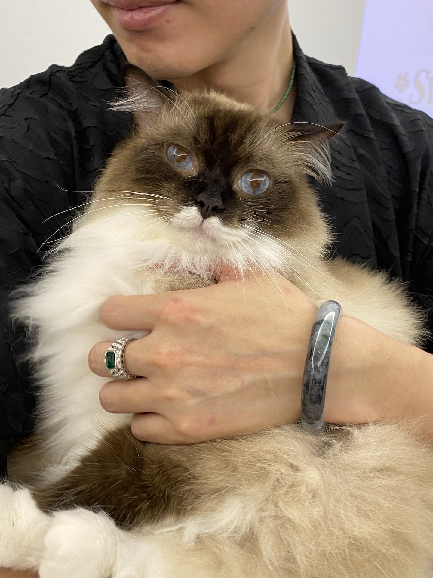 男生翡翠手镯选缅甸翡翠来搭配很不错