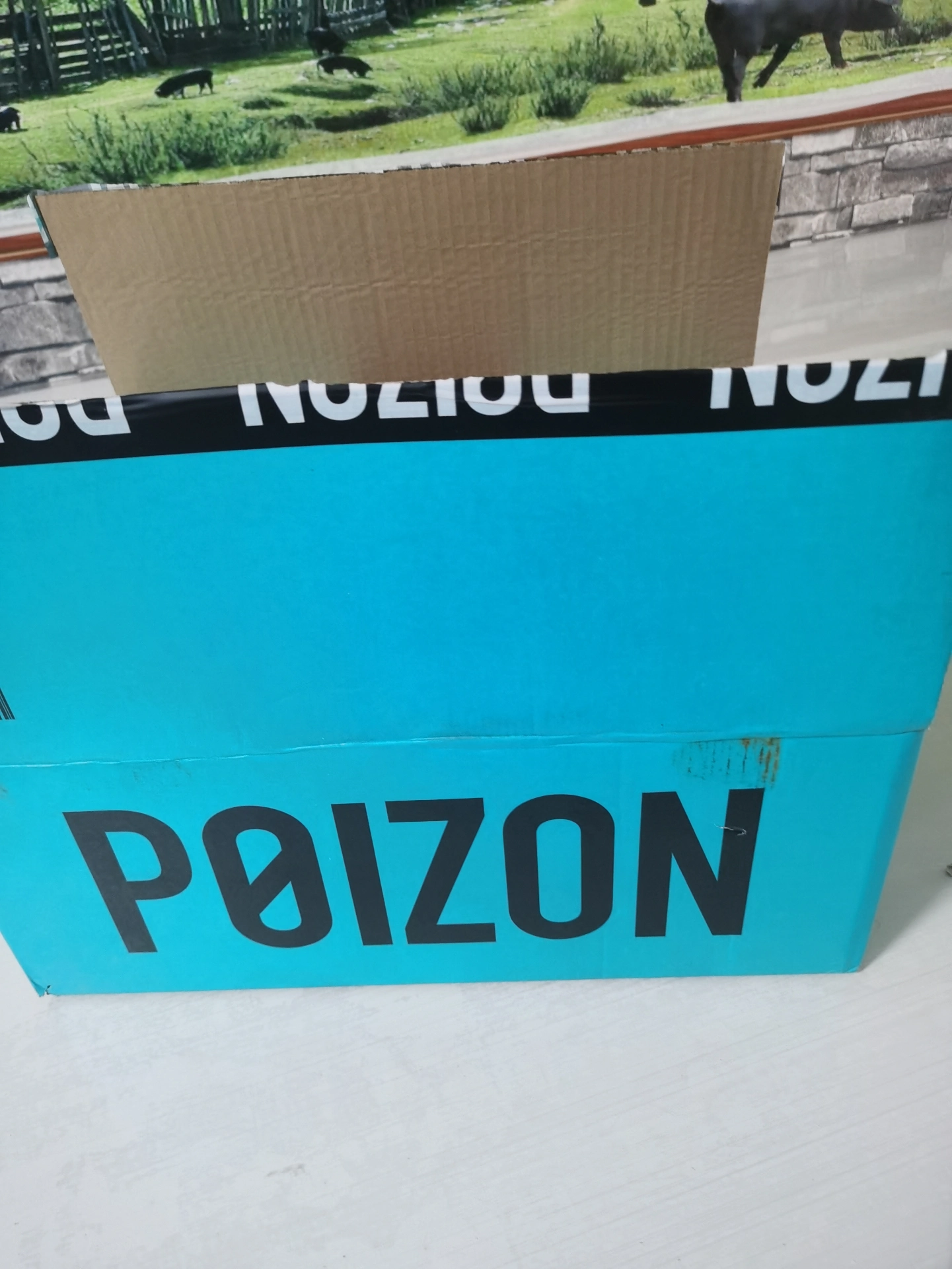 custom review-CAMEL Snowfall Короткие Сноубутсы Мужские