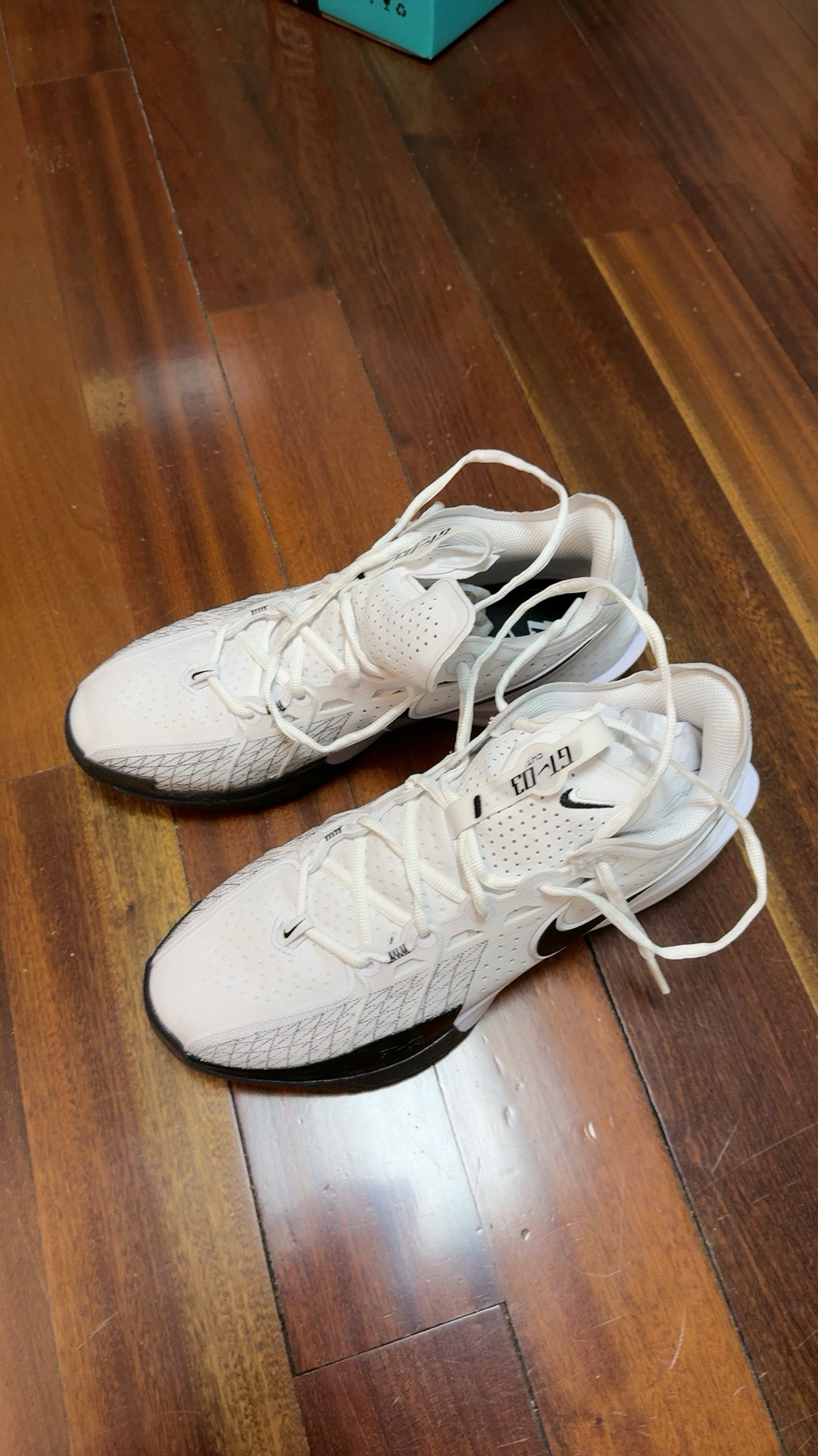 custom review-Nike Air Zoom G.T. Cut 3 EP 'White Black'