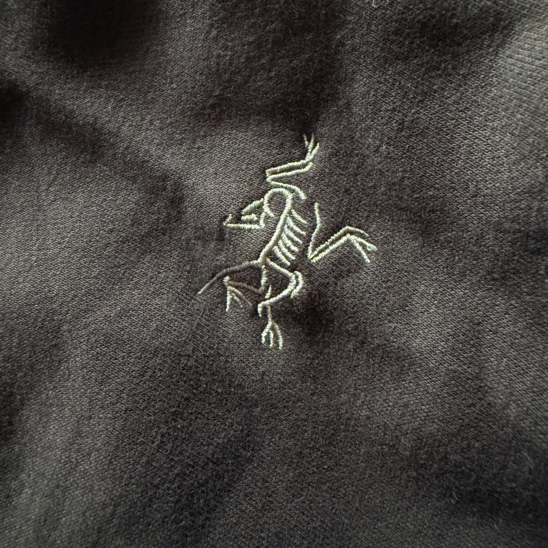 custom review-Arcteryx Emblem Толстовка Мужская