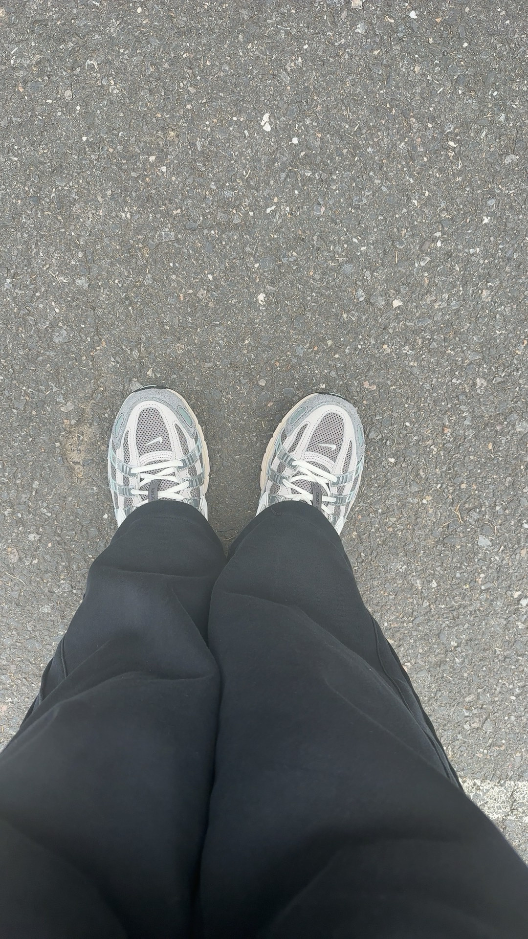 custom review-Nike P 6000 'Light Iron Ore'