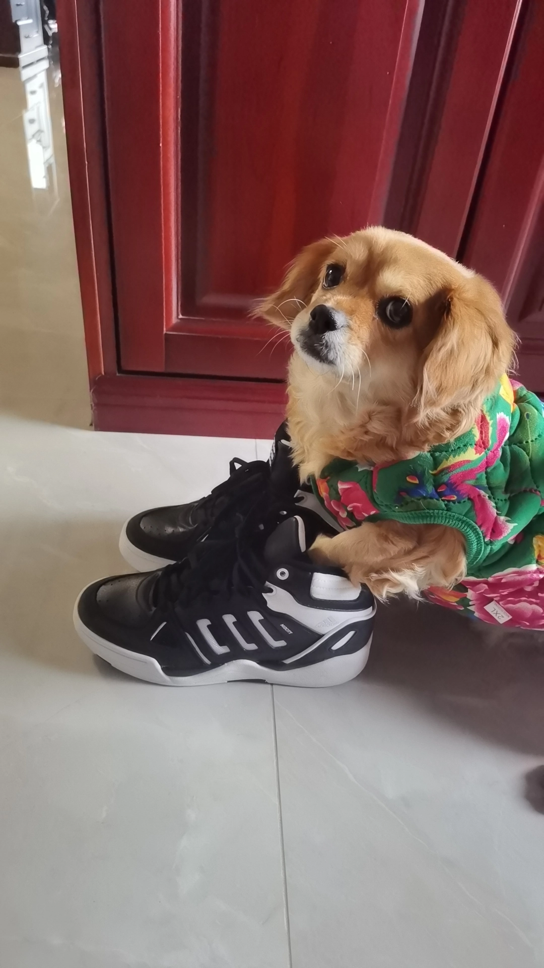 Фото из отзыва