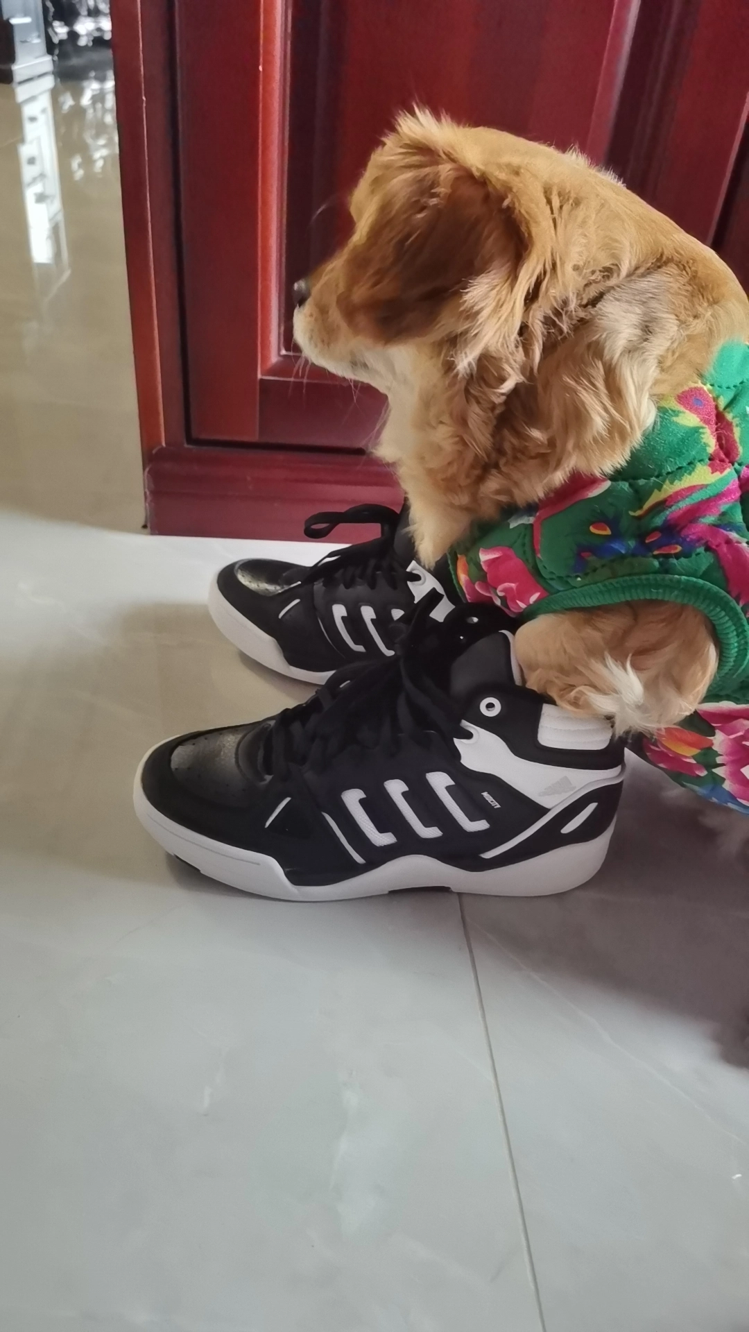 Фото из отзыва