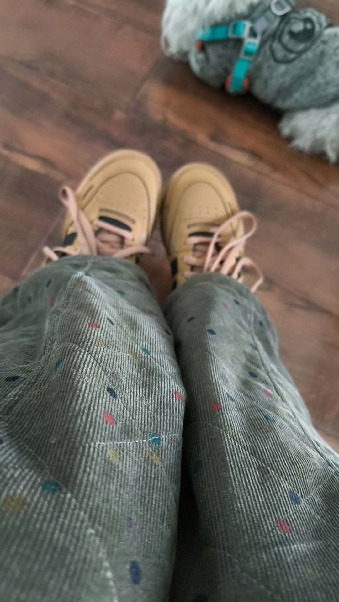 Фото из отзыва
