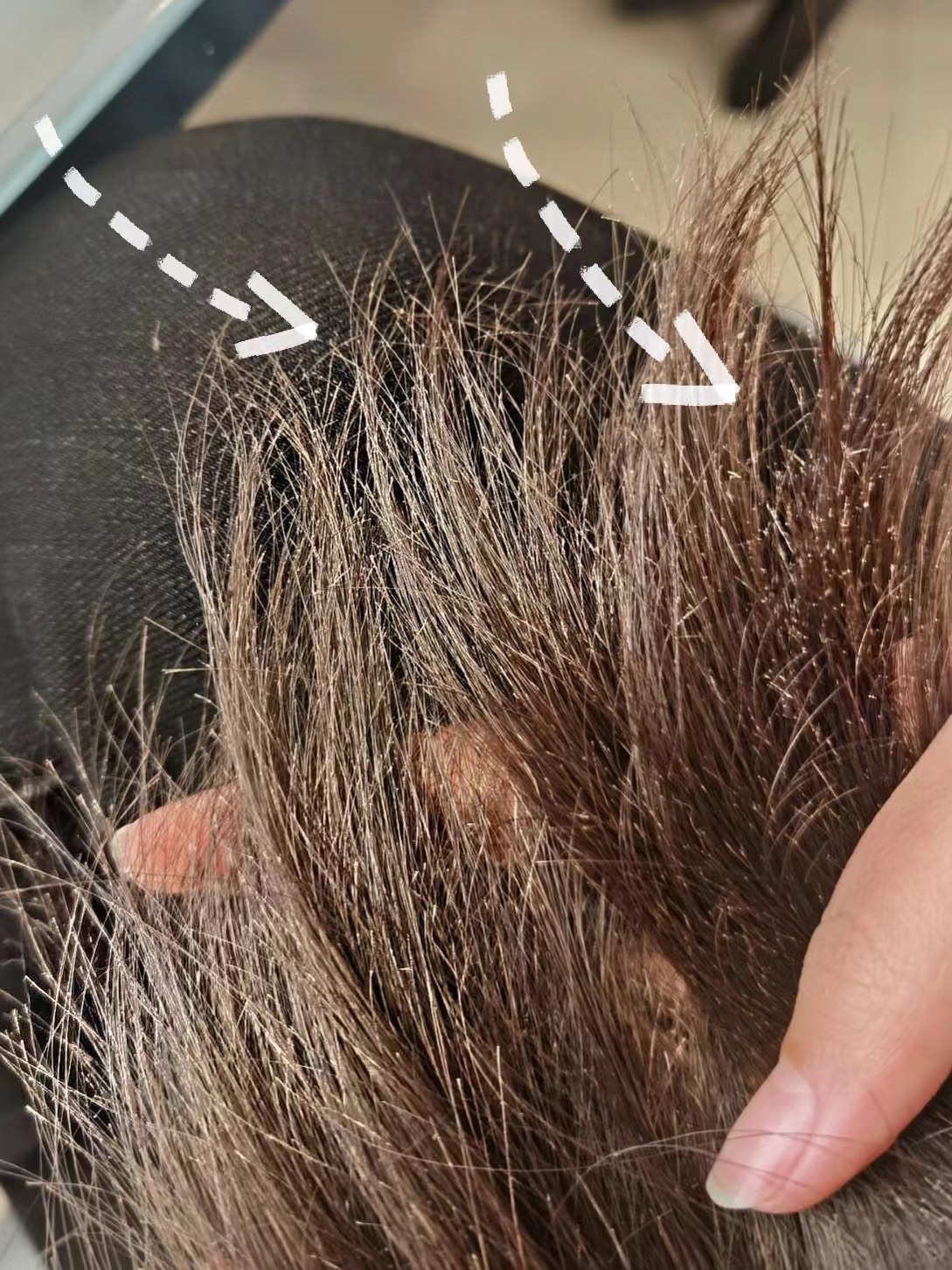 导致发质选择毛燥的不成样子
头发又枯又躁 发尾还分叉 去剪短我也舍