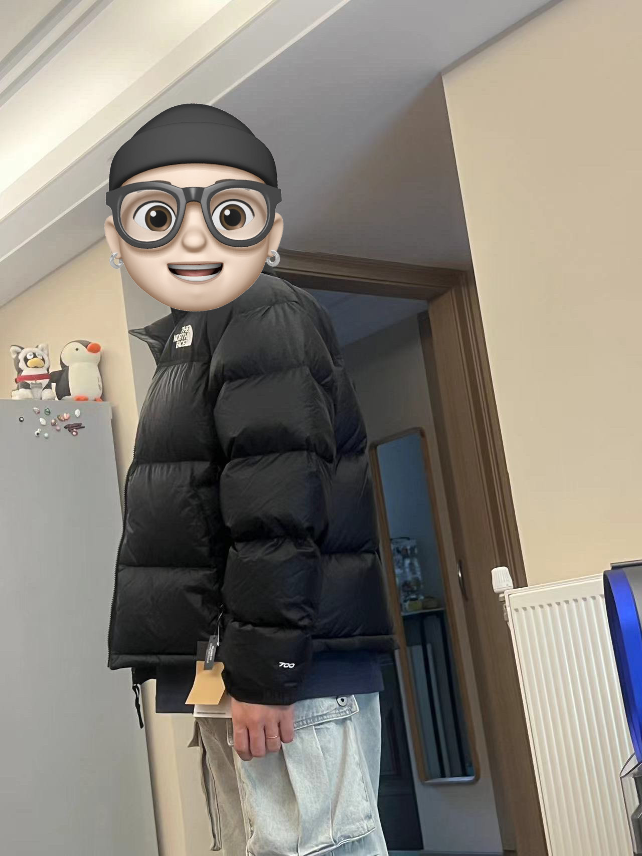 custom review-The North Face 1996 Collection Пуховик Мужской Черный