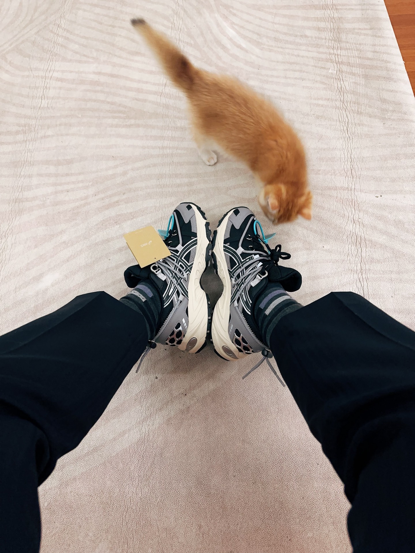 custom review-ASICS Gel Kahana TR v2 Low Топ Повседневная Обувь Унисекс Черный Серебряный