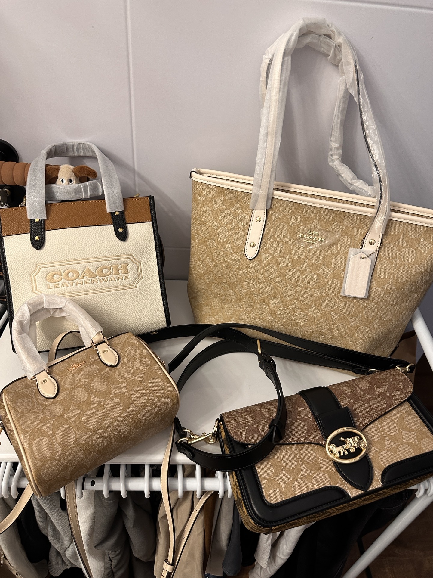 我的蔻驰包包合集#coach蔻驰 #coach包包 #蔻驰经典包 #我的得物奢侈