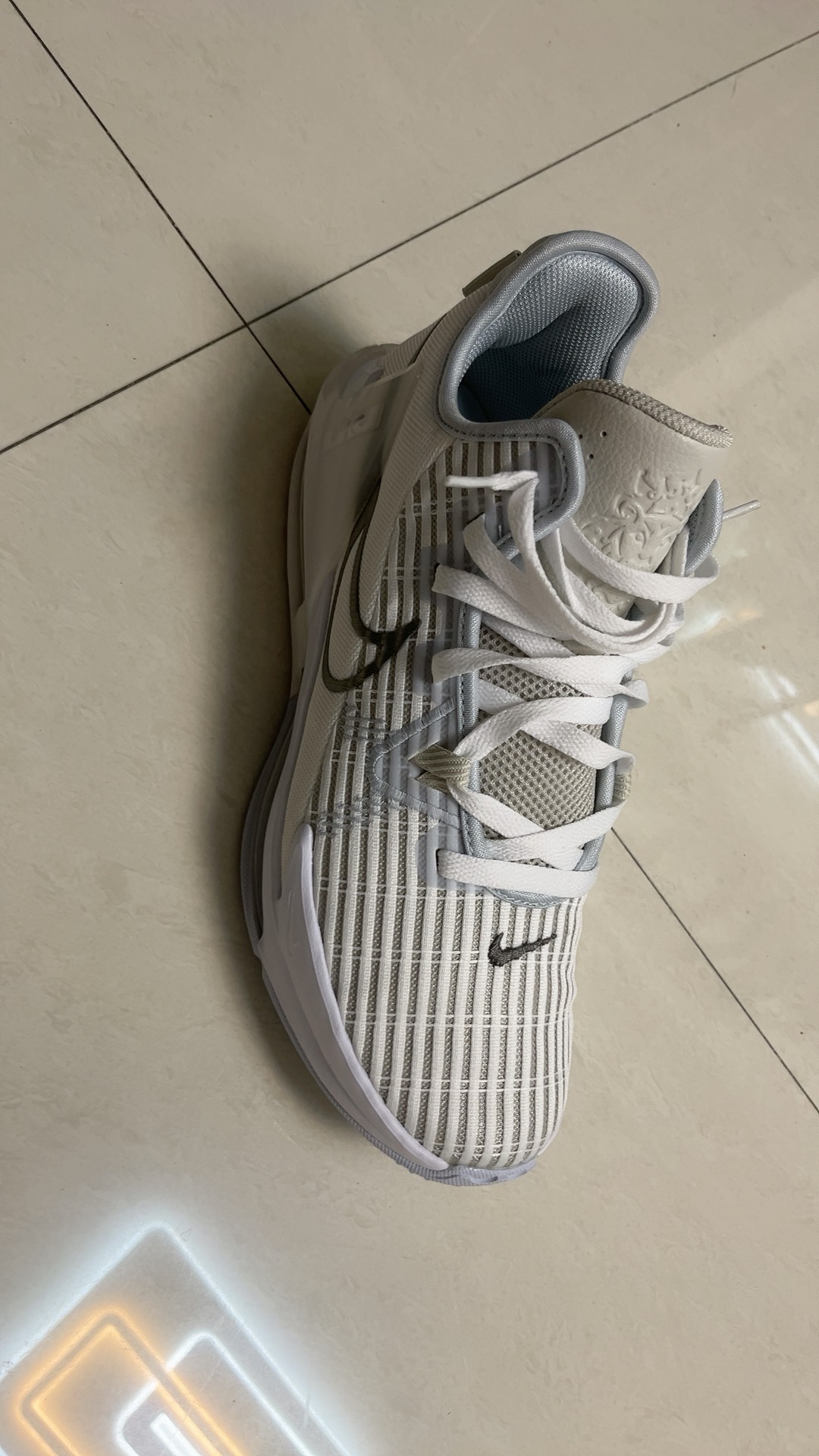 custom review-Nike Lebron Witness 6 EP 'White Metallic Pewter'