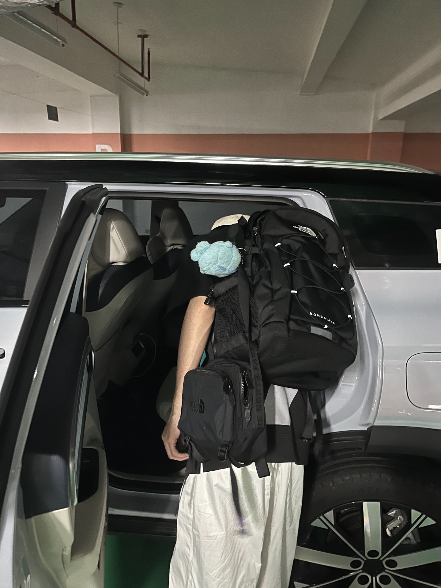 custom review-Рюкзак The North Face 30L для активного отдыха сумка полиэстер черный унисекс