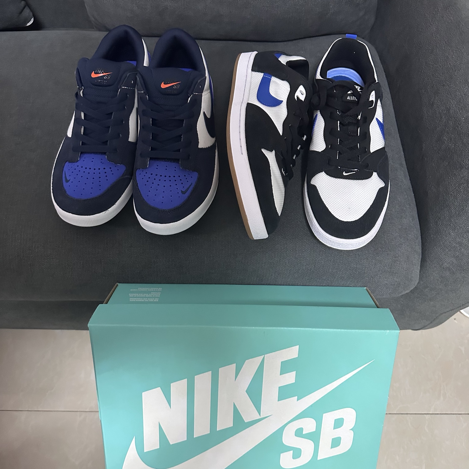 dunk sb