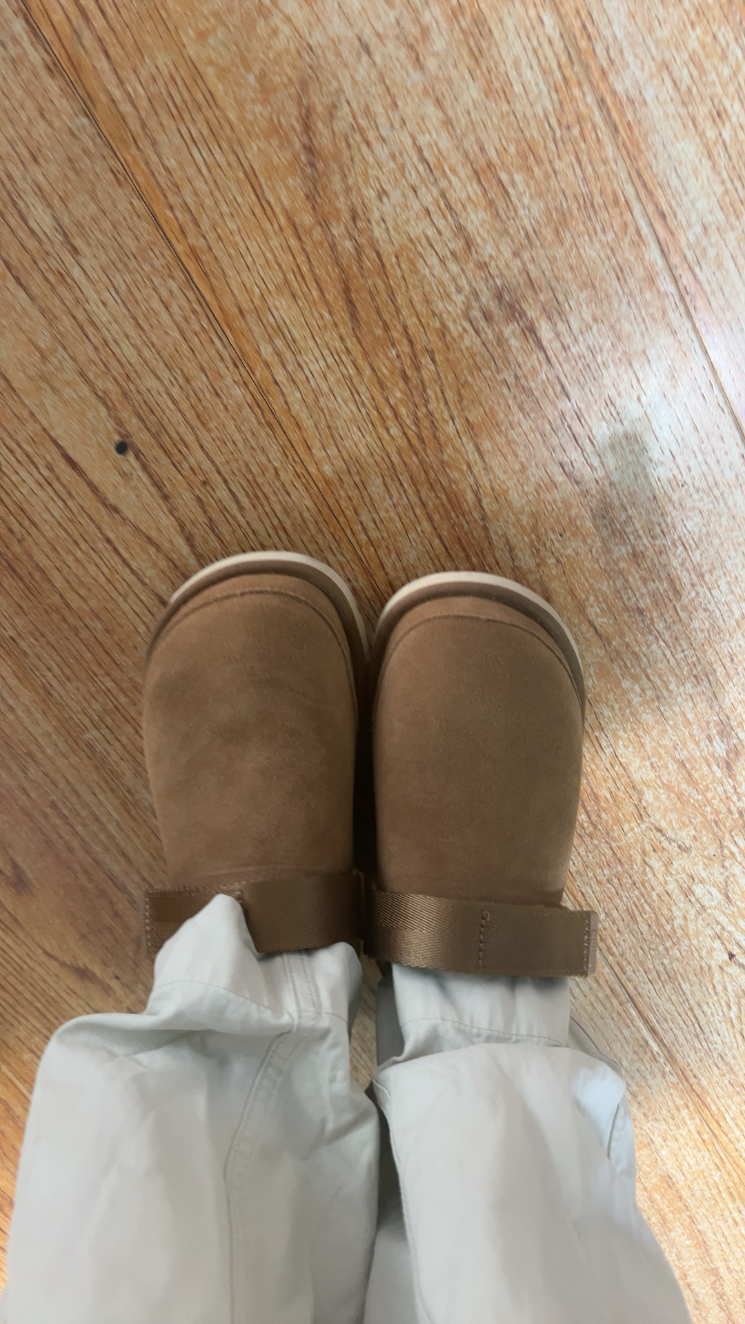custom review-UGG Goldenstar Clog Chestnut Women's