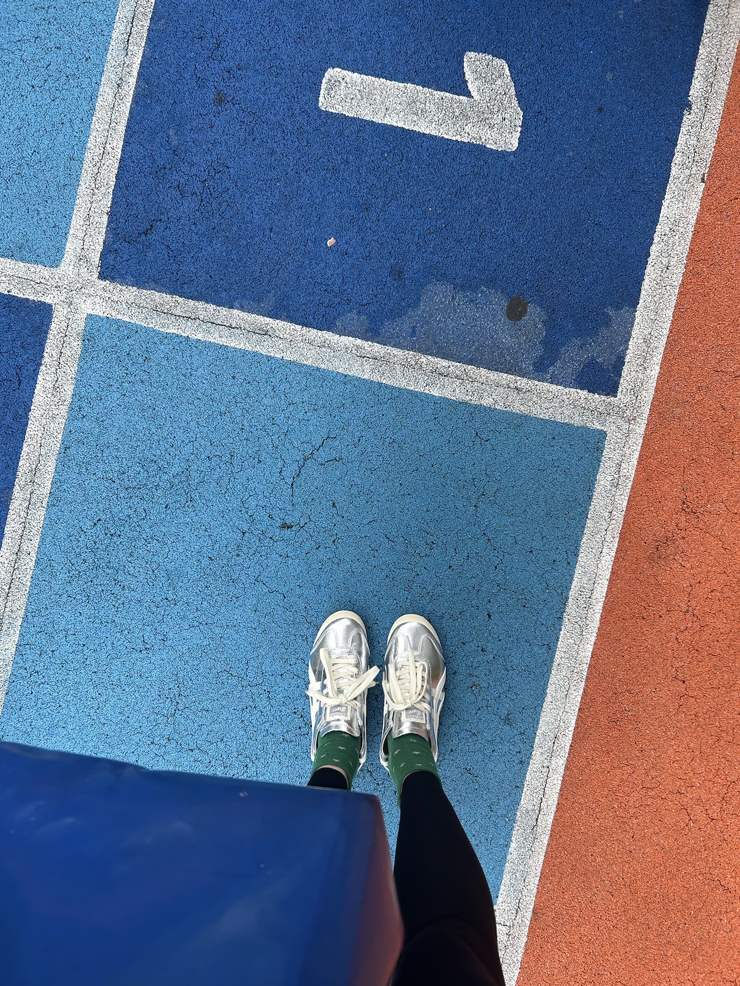 custom review-Onitsuka Tiger MEXICO 66 Low Топ Повседневная обувь Унисекс Серебряный