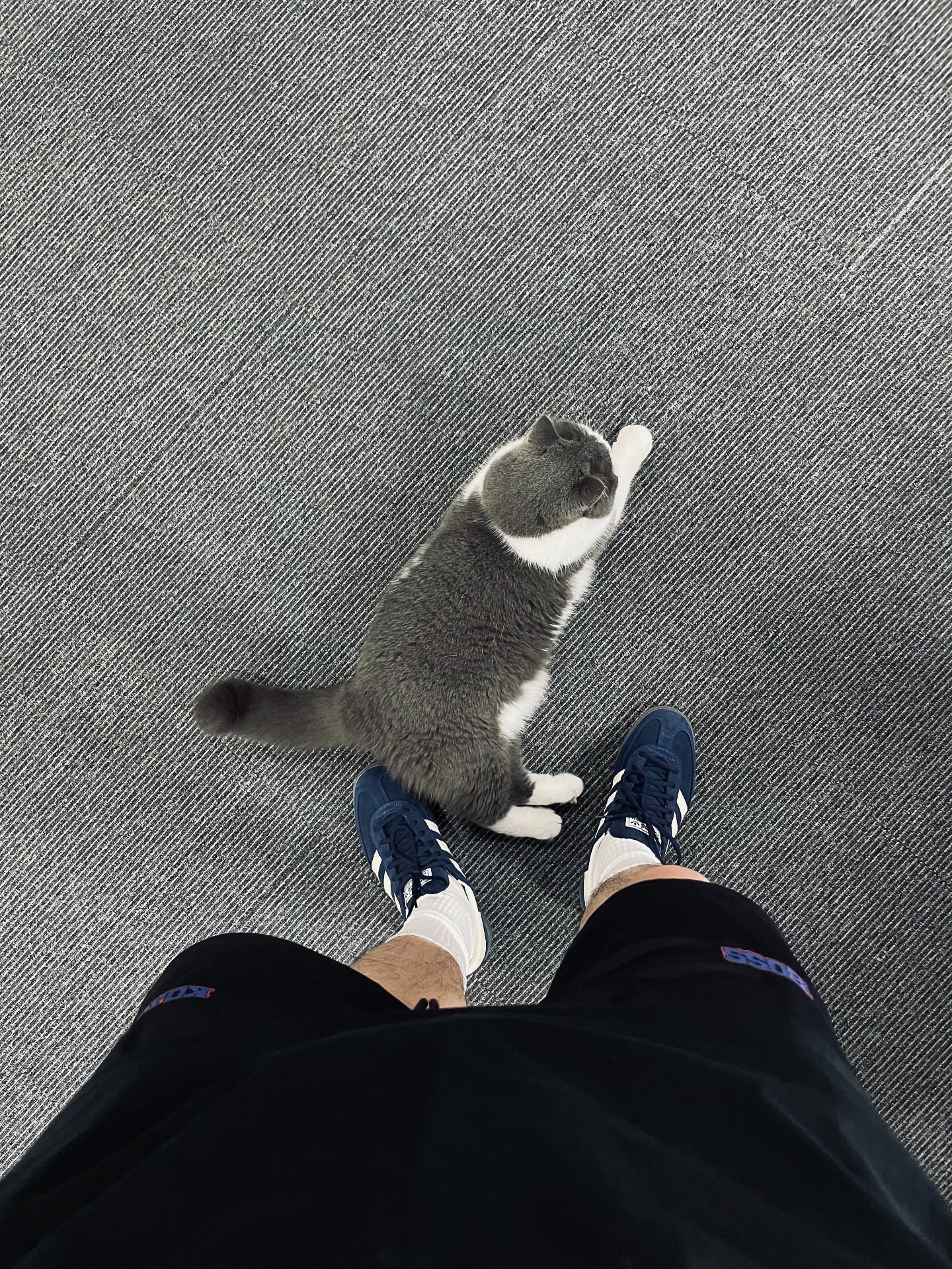 custom review-Adidas Originals HANDBALL SPEZIAL Низкие Кроссовки для скейтбординга Унисекс Темно-синий