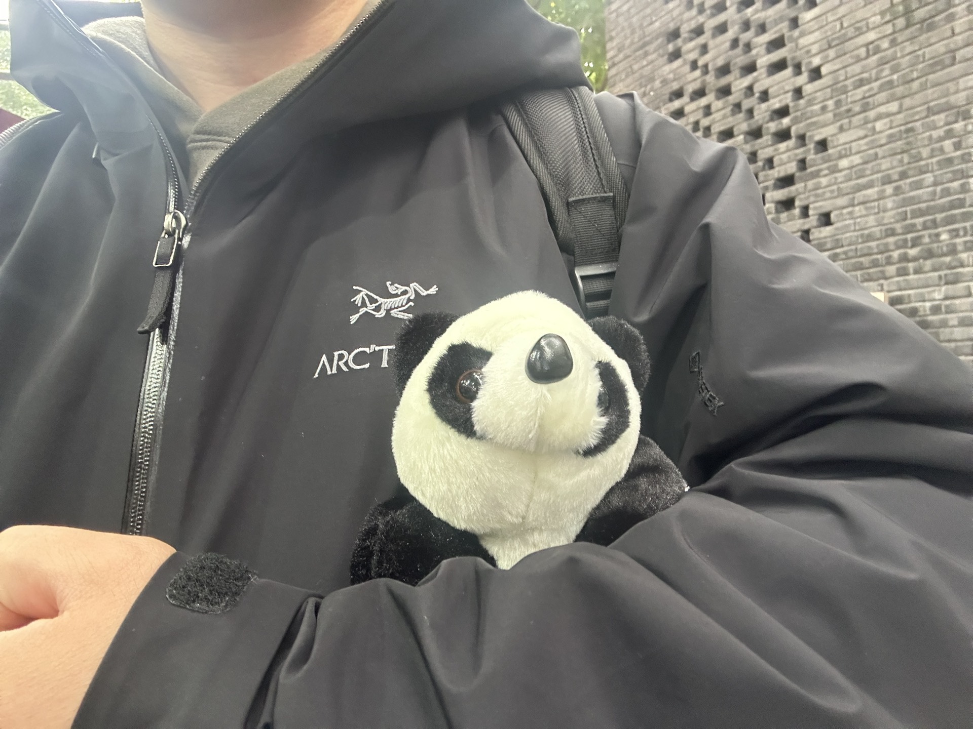 custom review-Arcteryx Cerium Down Jacket Men's