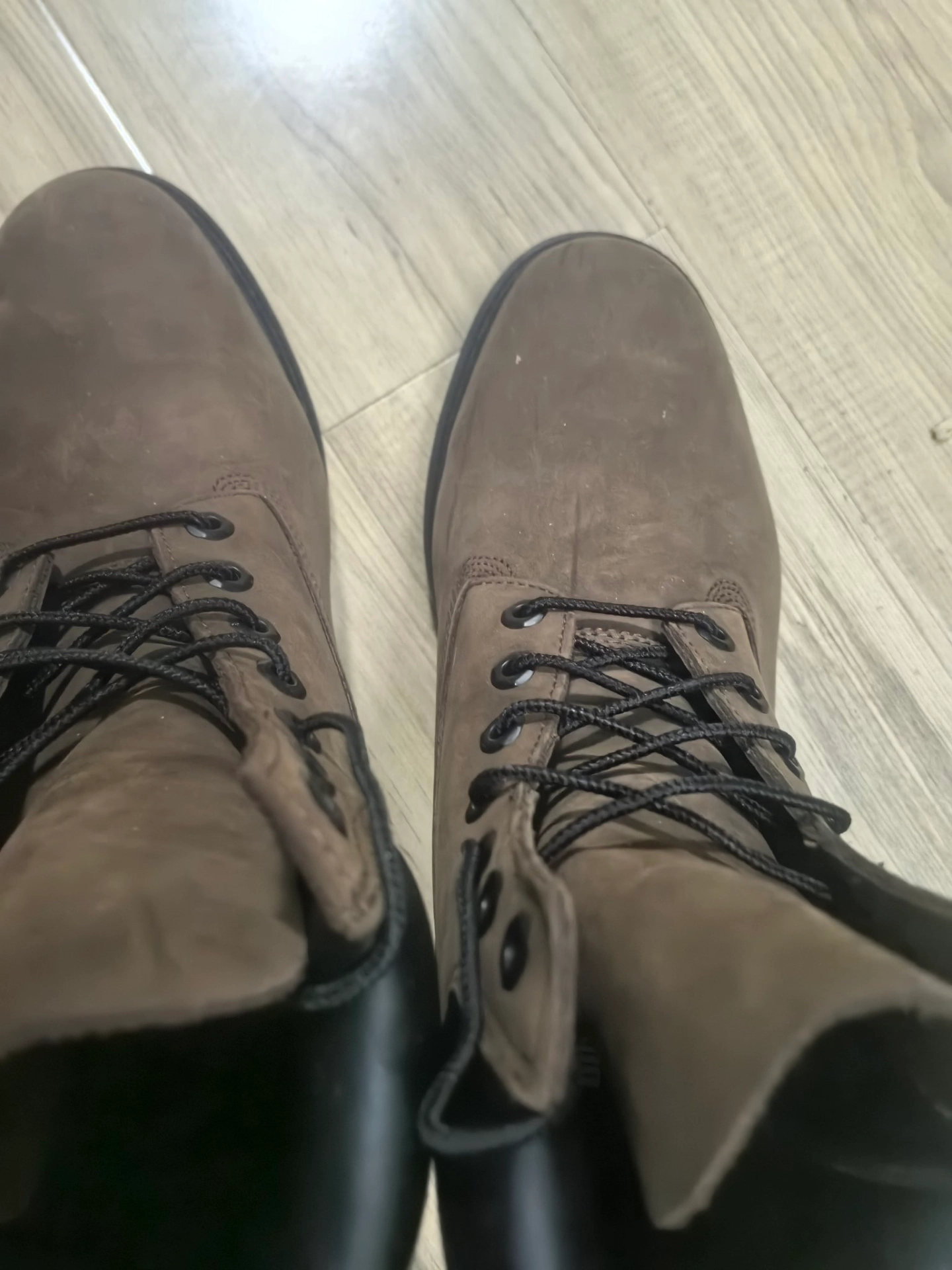 custom review-Timberland Classic 6 Inch Short Streetwear Men's Dark Brown