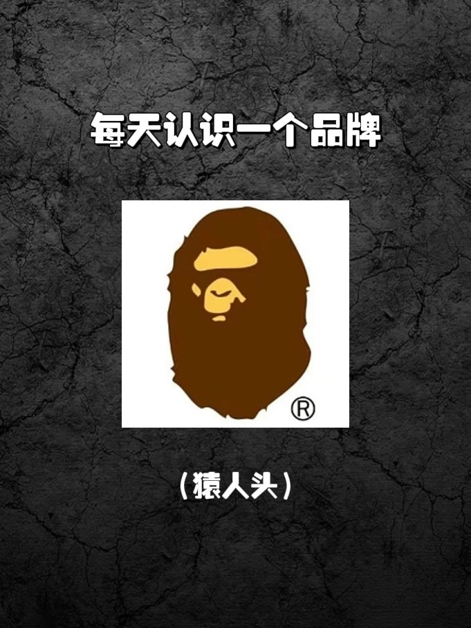 每天认识一个品牌