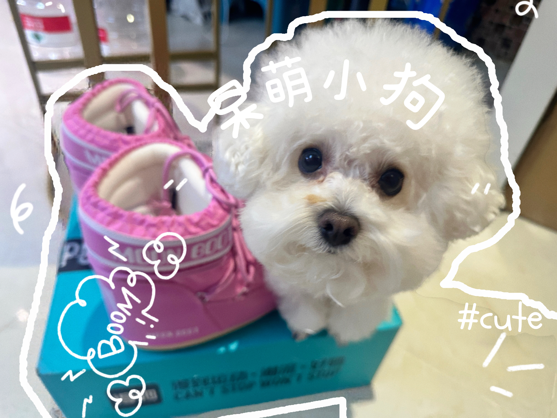 custom review-MOON BOOT Термические Короткие Снежные Ботинки Унисекс Розовые