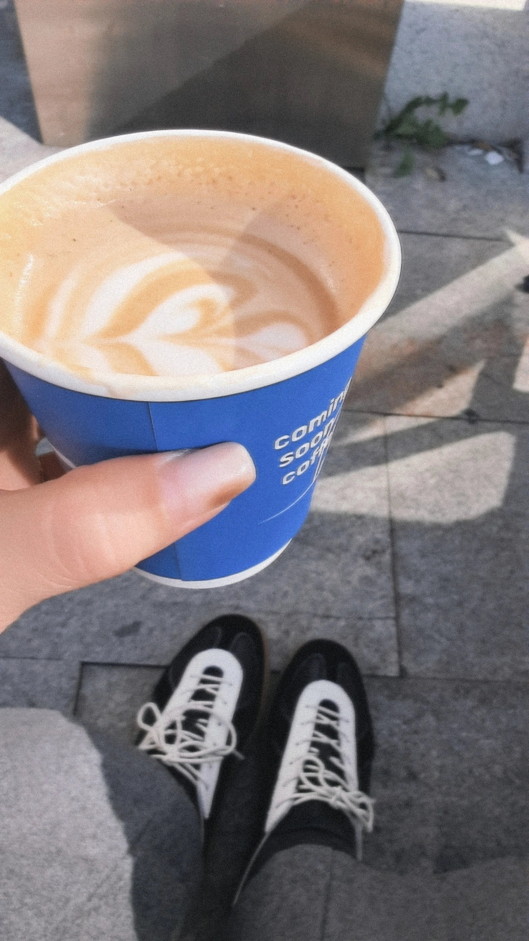 custom review-PANE Свет Тренировки Нет Gi Коллекция Boogie WOOGIE Rhythm BLUES Устойчивый к истиранию Низкий Топ Повседневный Унисекс