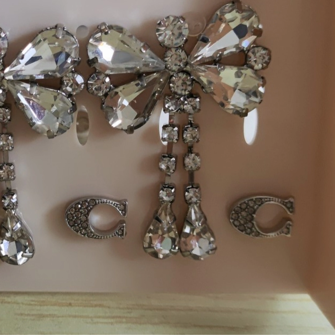 custom review-COACH Серьги-гвоздики из стерлингового серебра для женщин