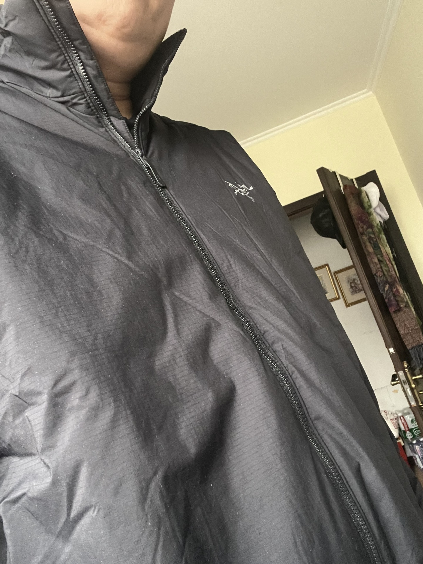 custom review-Arcteryx ATOM HEAVEYWEIGHT Пуховая куртка Мужская