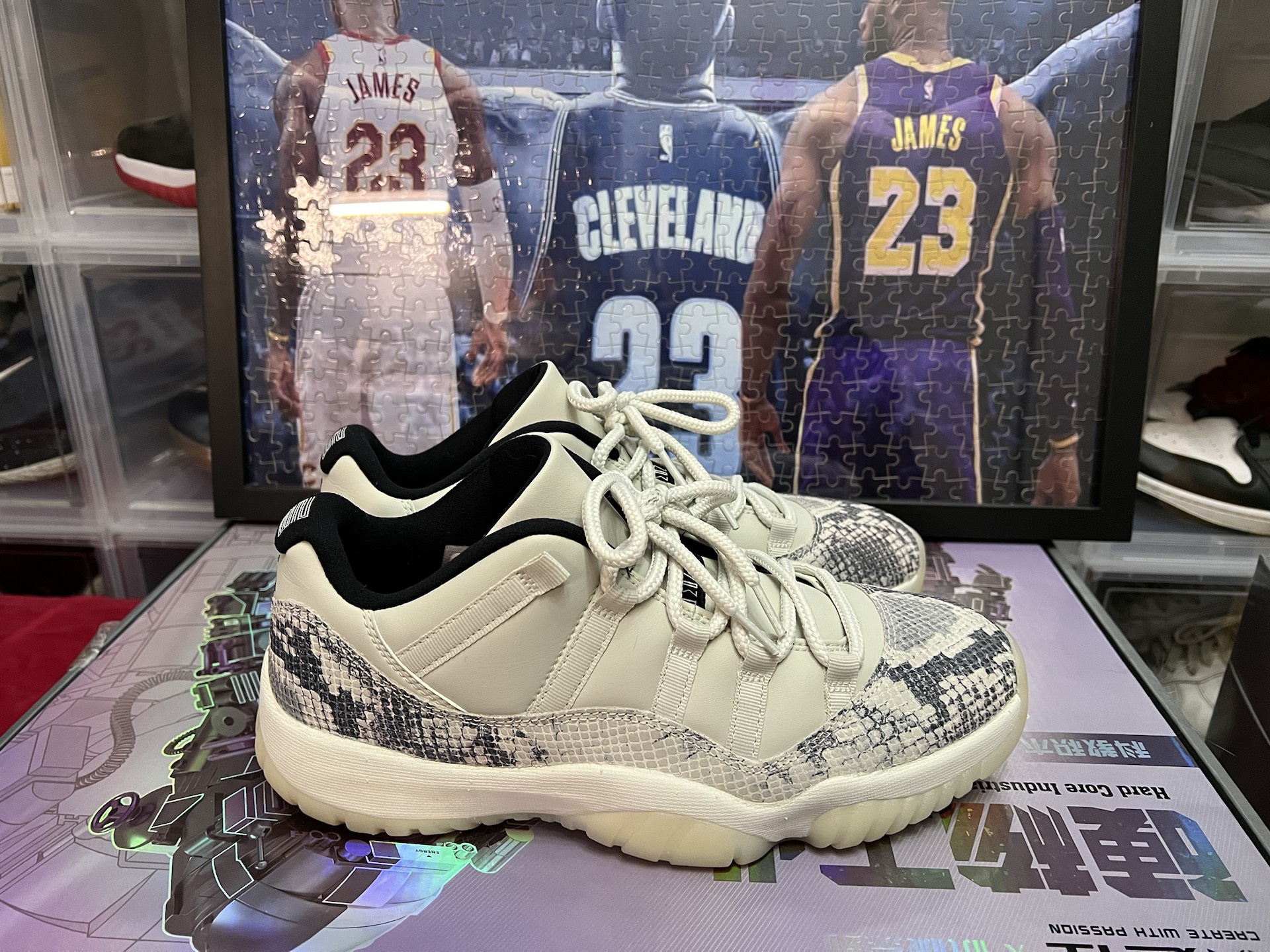 每日分享之aj11 白蛇