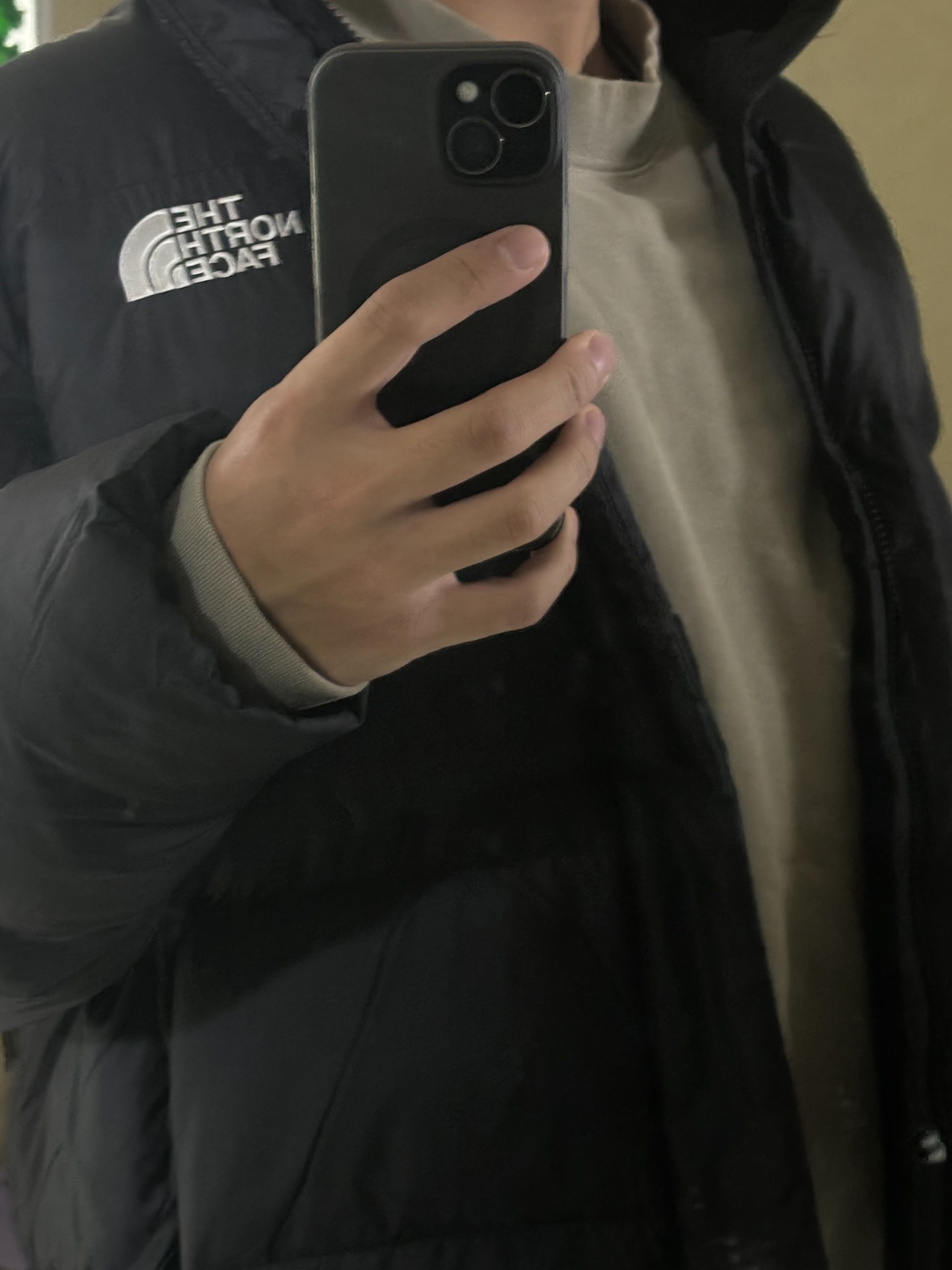 custom review-The North Face Пуховая куртка Мужская Черная