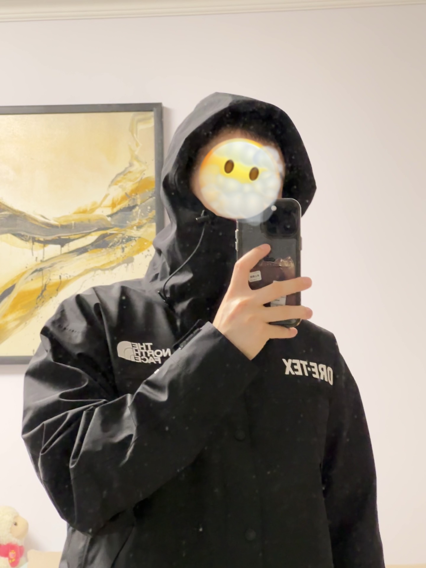 custom review-THE NORTH FACE Урбан Эксплорейшн