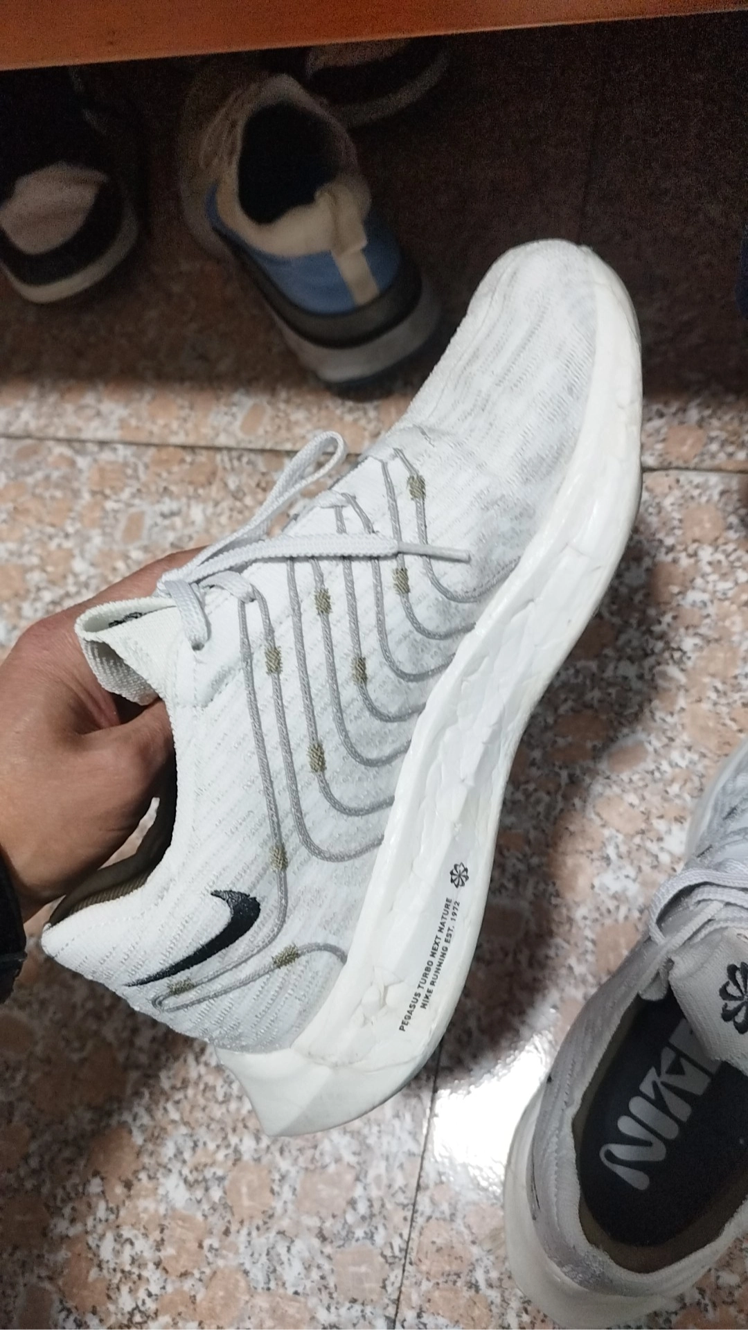 custom review-Nike Pegasus Turbo Next Nature Low Топ Тренировки Гонки Беговые кроссовки Мужской Белый