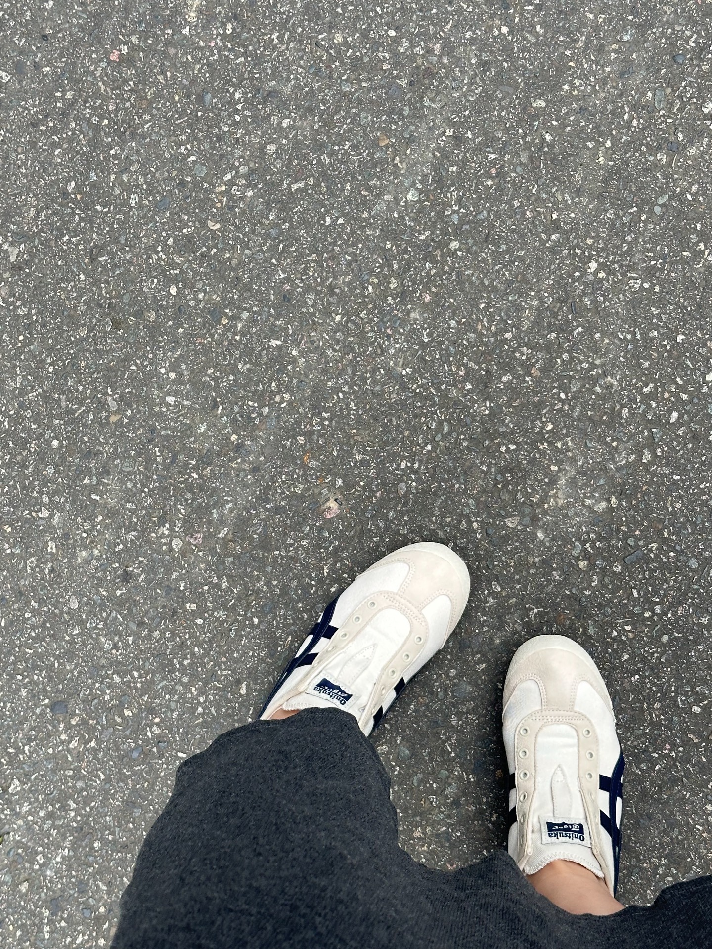 custom review-Onitsuka Tiger Mexico 66 Slip-On 'Midnight'