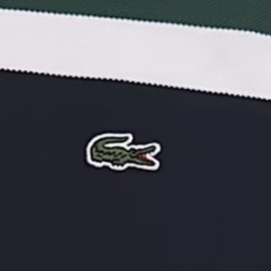custom review-LACOSTE Мужская рубашка поло